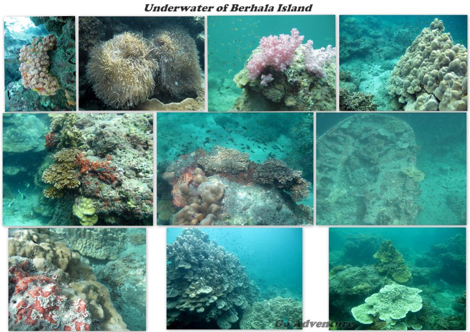 543227_447687641913707_2094328835_n — Berhala Island
